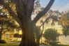 House in Polk City - Best sunsets in Winter Haven. Lakefront home 5 minutes from downtown!