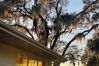 House in Polk City - Best sunsets in Winter Haven. Lakefront home 5 minutes from downtown!