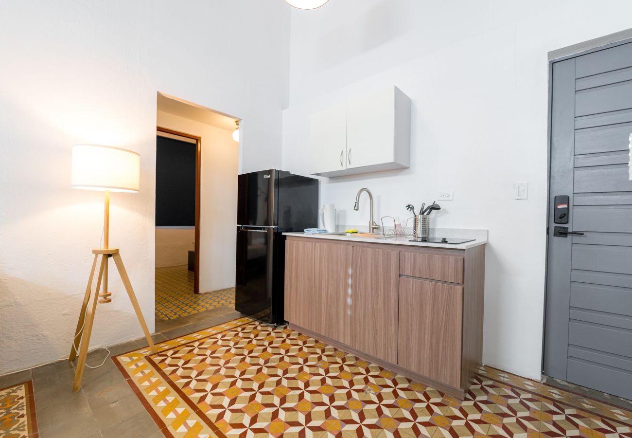 Apartment in San Juan - Nando's Place 2 - Charming 2BR Apt near Old San Juan and Beach