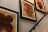 Rent by room in San Juan - The Oliver, Executive Suite, Old San Juan