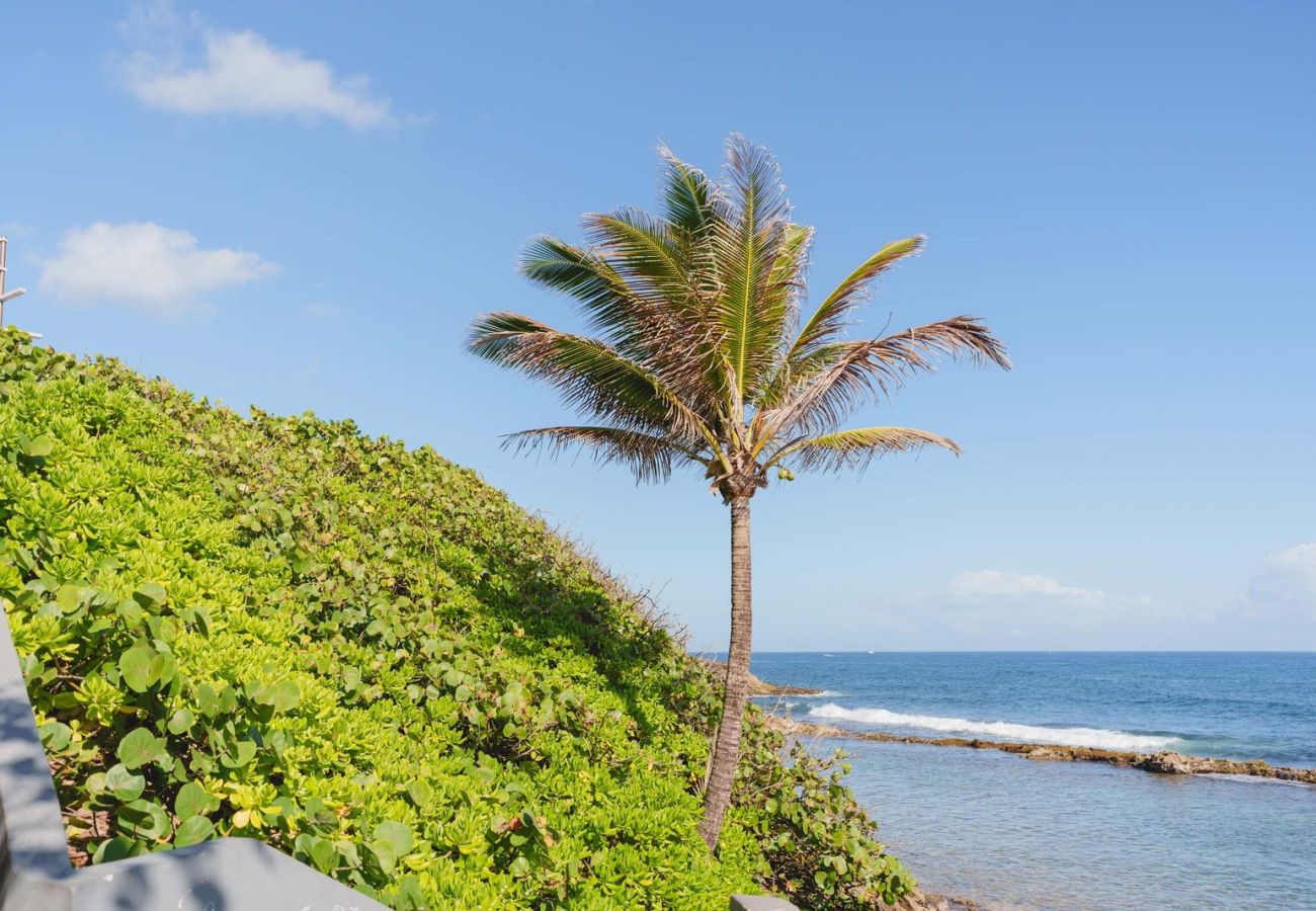 Apartment in San Juan - Elokut Loft 3 - Steps from Old San Juan and Escambron Beach